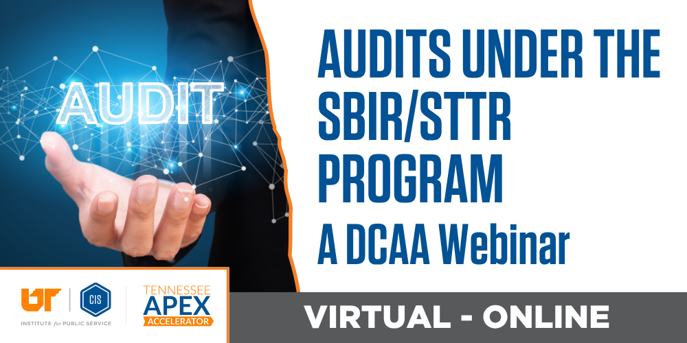 Audits Under the SBIR-STTR Program