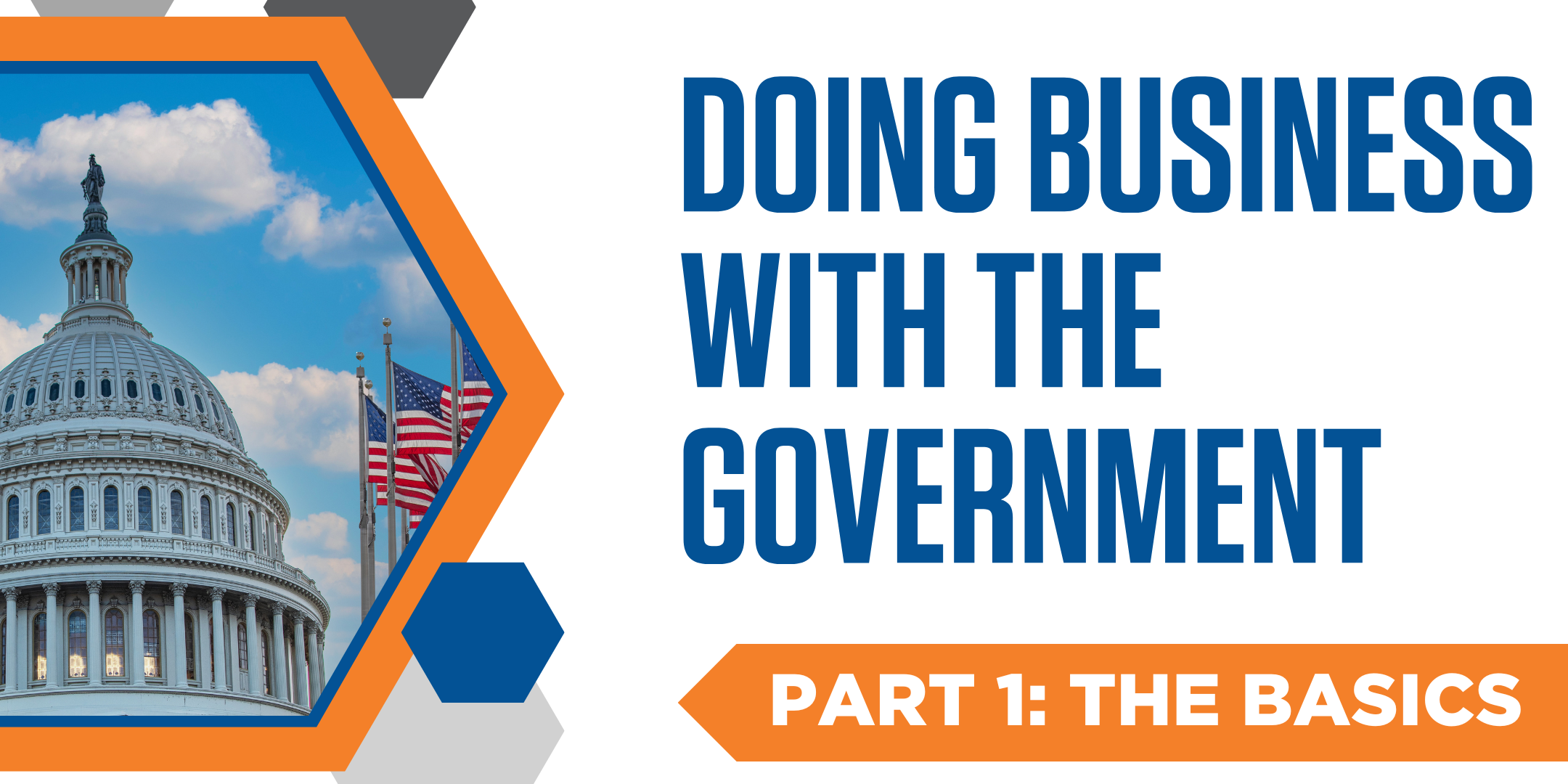 Doing Business with the Government - Part 1: The Basics